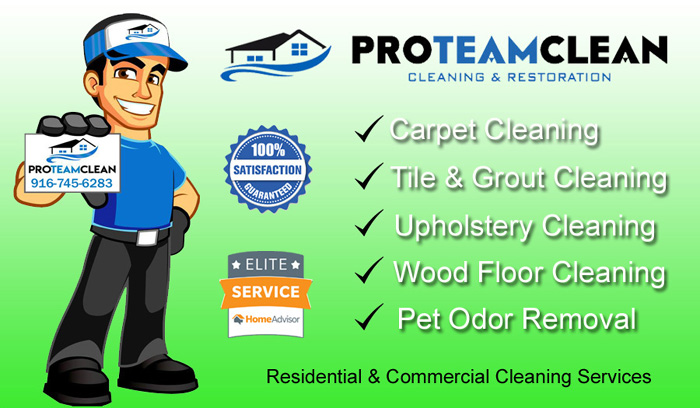 Carpet Cleaning Lincoln Flyer